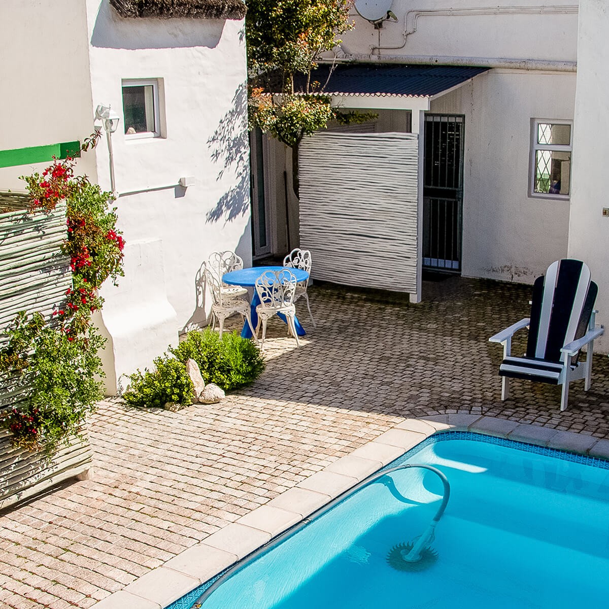 Courtyard Pool